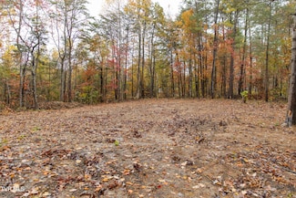 Tbd Bill Martin Rd, Afton, TN 37616