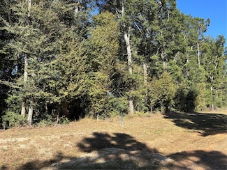 000 L C Herschap Ln, Big Thicket Lake Estates, TX 77351