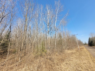 ON Cemetery Rd, Draper, WI 54896