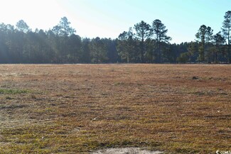 0 Highway 917 Unit 2324821, Nichols, SC 29581