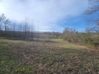 0 County Road 2228, Hartman, AR 72840