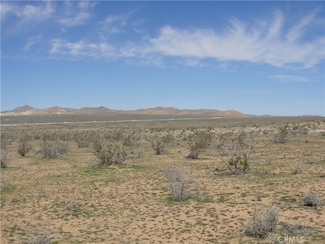 0 Chippewa Rd Unit CV25181966, Apple Valley, CA 92307