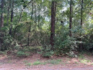 1006 Jefferson River Cir, Montgomery, TX 77316