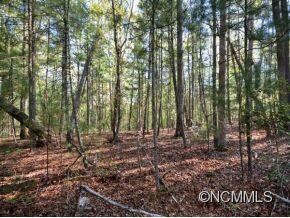 97 Chauncey Cir Unit 2, Asheville, NC 28803