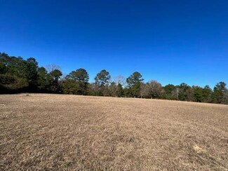 24 Tom Warner Rd, Tylertown, MS 39667