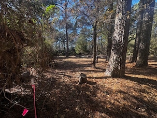 TBD Lot 41 Cherokee Ln, Waller, TX 77484