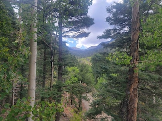 15 Coyote Ln, Taos Ski Valley, NM 87525