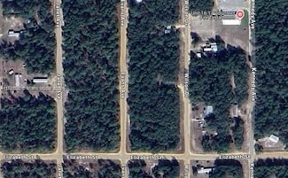 0 Evans Ave Unit A11747020, Interlachen, FL 32148