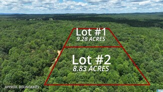 0 Pinetuckey Ln Unit 21394912, Heflin, AL 36264