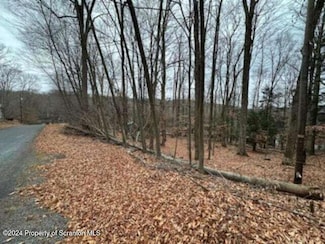 28 Cedar Dr, Lake Ariel, PA 18436