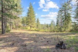 12703 S Alpine Fern Ln, Rockford, WA 99030