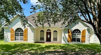 2833 Scr 18, Mize, MS 39116