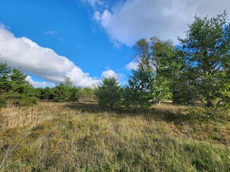 0 Co Rd 491 Unit 201826791, Lewiston, MI 49756