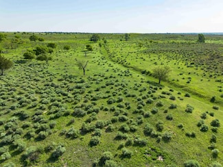 8040 County Road 2, Mobeetie, TX 79061