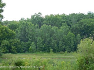 0 Vl Curtice, Mason, MI 48854