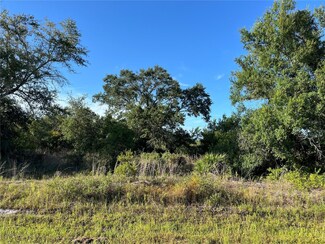 17542 NW 264th St, Okeechobee, FL 34972