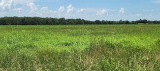 0 Whitetail Crossing, Needville, TX 77461