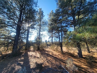 0 Hwy 64 Unit 202500110, Tierra Amarilla, NM 87575