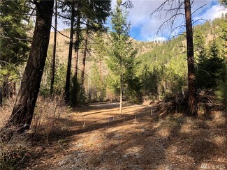 0 Entiat River Rd Unit 1268886, Entiat, WA 98822
