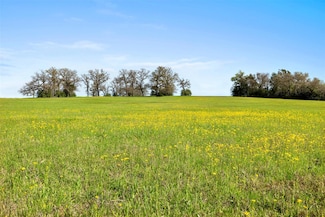 000 Cr 322, Lexington, TX 78947
