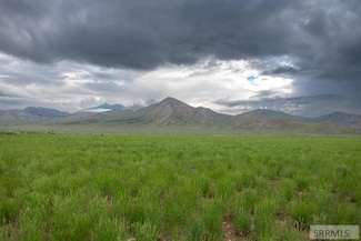 TBD Us Hwy 20, Arco, ID 83213