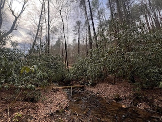 63 Walker Ridge Way, Mineral Bluff, GA 30559