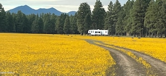 Xxxxx E Newman Park Rd Unit 2, Flagstaff, AZ 86005