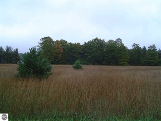 Lot G Needmore Rd Unit G, Lake Ann, MI 49650