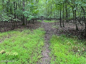 L2.2 Canniff Rd, Cairo, NY 12413