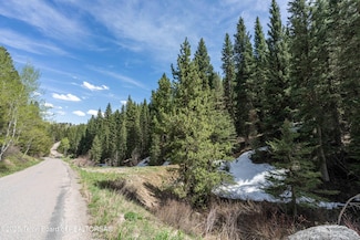 6600 Paintbrush Trail, Wilson, WY 83014