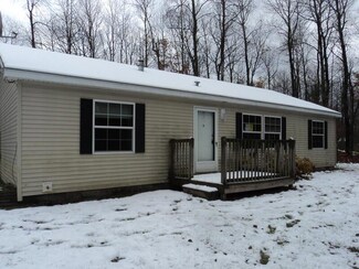 6970 Lahti Ln, Pellston, MI 49769