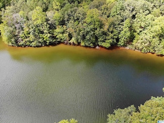 888 Warren Rd, Wedowee, AL 36278