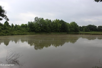 001 Levee Rd, Yazoo City, MS 39194