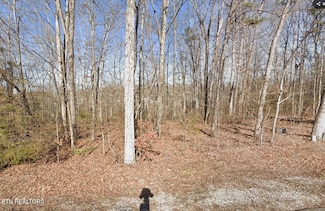 117 Chanusi Way, Loudon, TN 37774