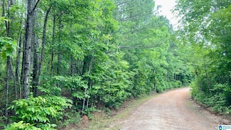 0 County Road 645 Unit 1 21421252, Roanoke, AL 36274