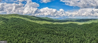 0 Douthards Creek Rd, Minehaha Springs, WV 24954