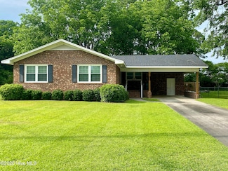 317 Lee St, Winterville, NC 28590
