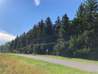 0 Brucker Rd, Newstead, NY 14001