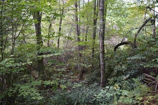 0 Indian Creek Rd NW Unit 325686, Willis, VA 24380