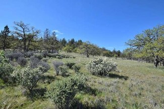 133 Lot, Hornbrook, CA 96044