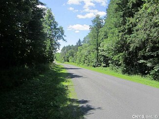 0 Quarterline Rd Unit S360565, Hamilton, NY 13346