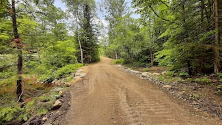 0 Route 155 Unit 4905774, Weston, VT 05161