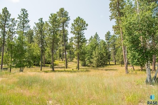 0 Tbd Rubys Way, Lead, SD 57754