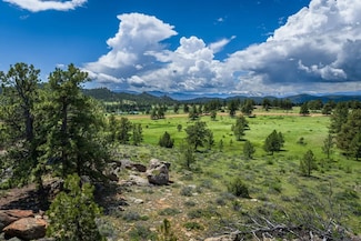 0 Legacy Rock Rd, Livermore, CO 80536