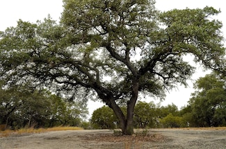 K12102 Custer's Cir, Horseshoe Bay, TX 78605