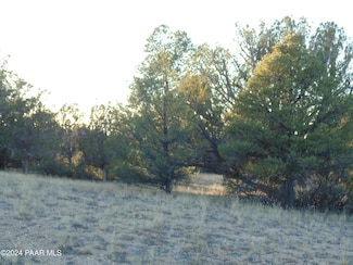 N/A Lone Star Rd, Seligman, AZ 86337