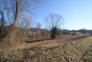 4800 Old Snapps Ferry Rd, Limestone, TN 37681