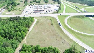 TBD Hwy 38 & I-95, Latta, SC 29565