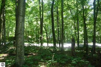 00 Shorewood Dr, Frankfort, MI 49635
