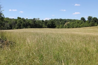 0 Pleasant Grove Church Rd, Bennett, NC 27208